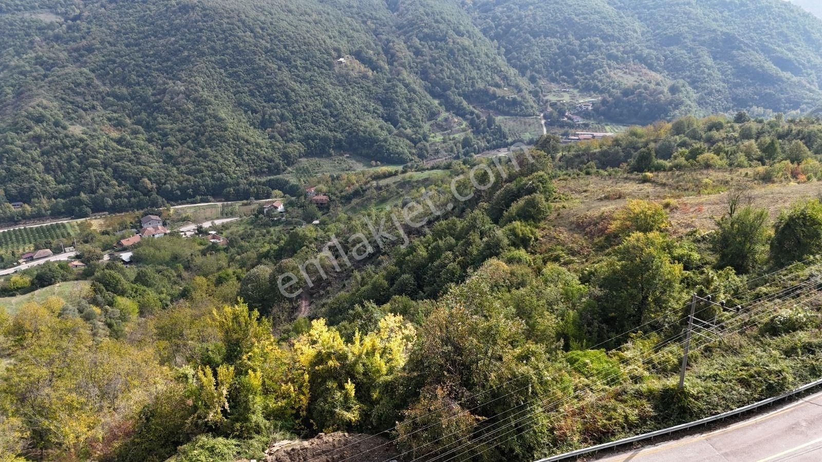 Altın Emlak' Tan Gölcük İhsaniye De İmara Sadece 70 Metre Mesafede 16353 Metrekare Satılık Arazi - Görsel 6