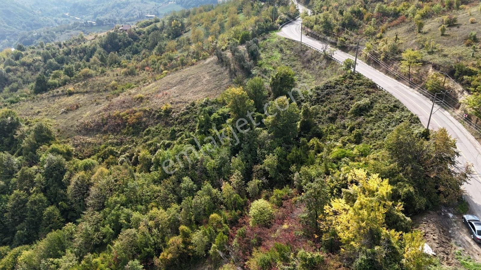 Altın Emlak' Tan Gölcük İhsaniye De İmara Sadece 70 Metre Mesafede 16353 Metrekare Satılık Arazi - Görsel 2