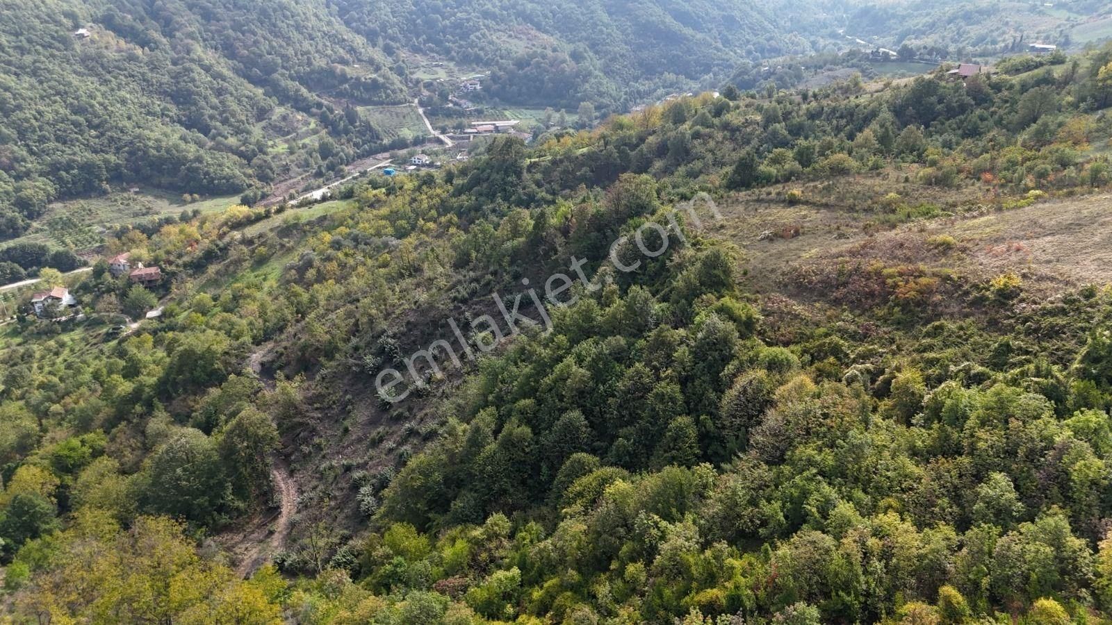 Altın Emlak' Tan Gölcük İhsaniye De İmara Sadece 70 Metre Mesafede 16353 Metrekare Satılık Arazi - Görsel 9
