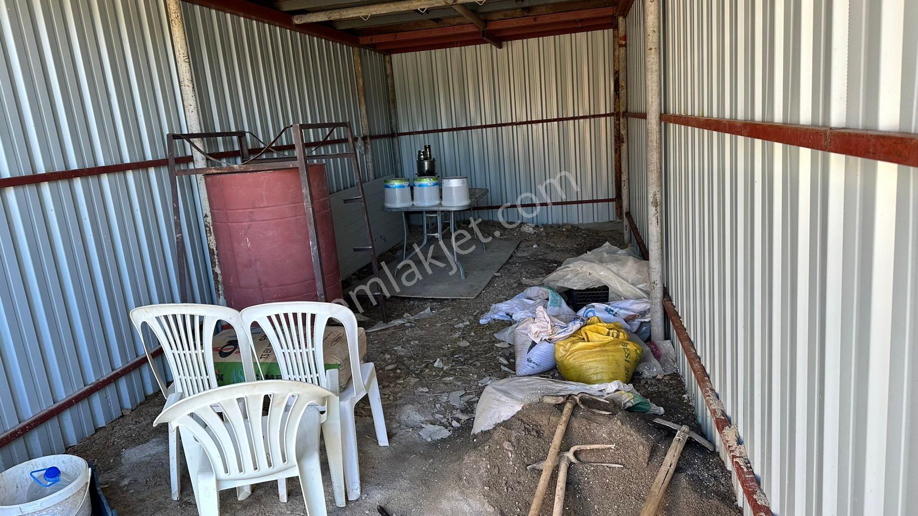 Alanya Özvadide Satılık 5 Yıllık Avokado Bahçesi - Görsel 20