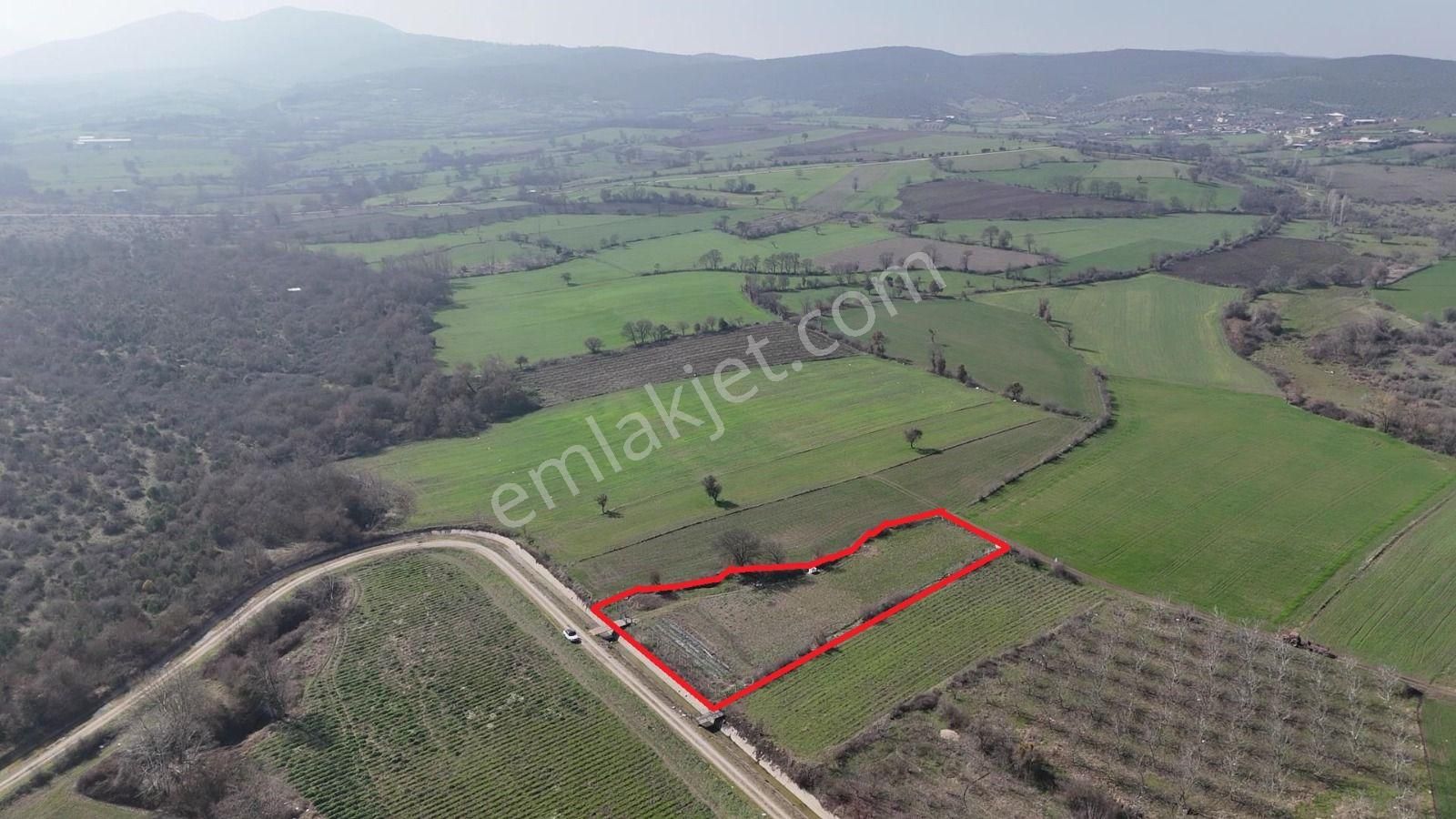 Sahibinden Hobi Bahçesi Kanal Dibi 3.015m2 Gönen'e 3 Km. - Görsel 8