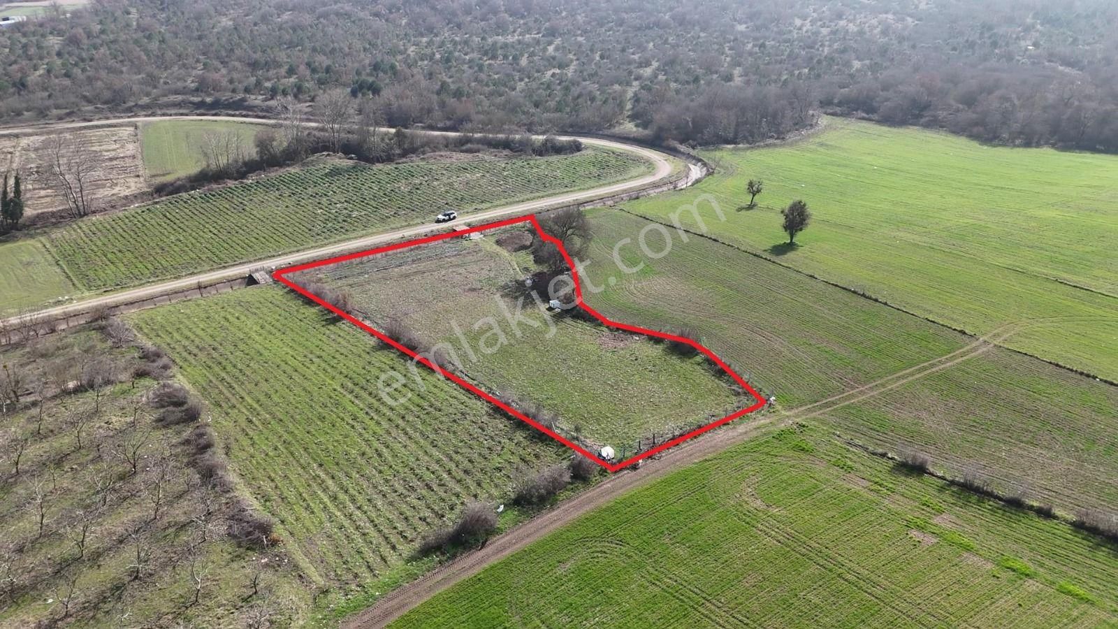 Sahibinden Hobi Bahçesi Kanal Dibi 3.015m2 Gönen'e 3 Km. - Görsel 20