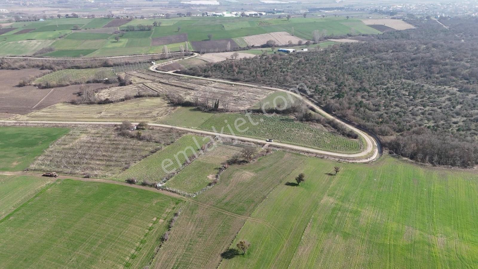 Sahibinden Hobi Bahçesi Kanal Dibi 3.015m2 Gönen'e 3 Km. - Görsel 13