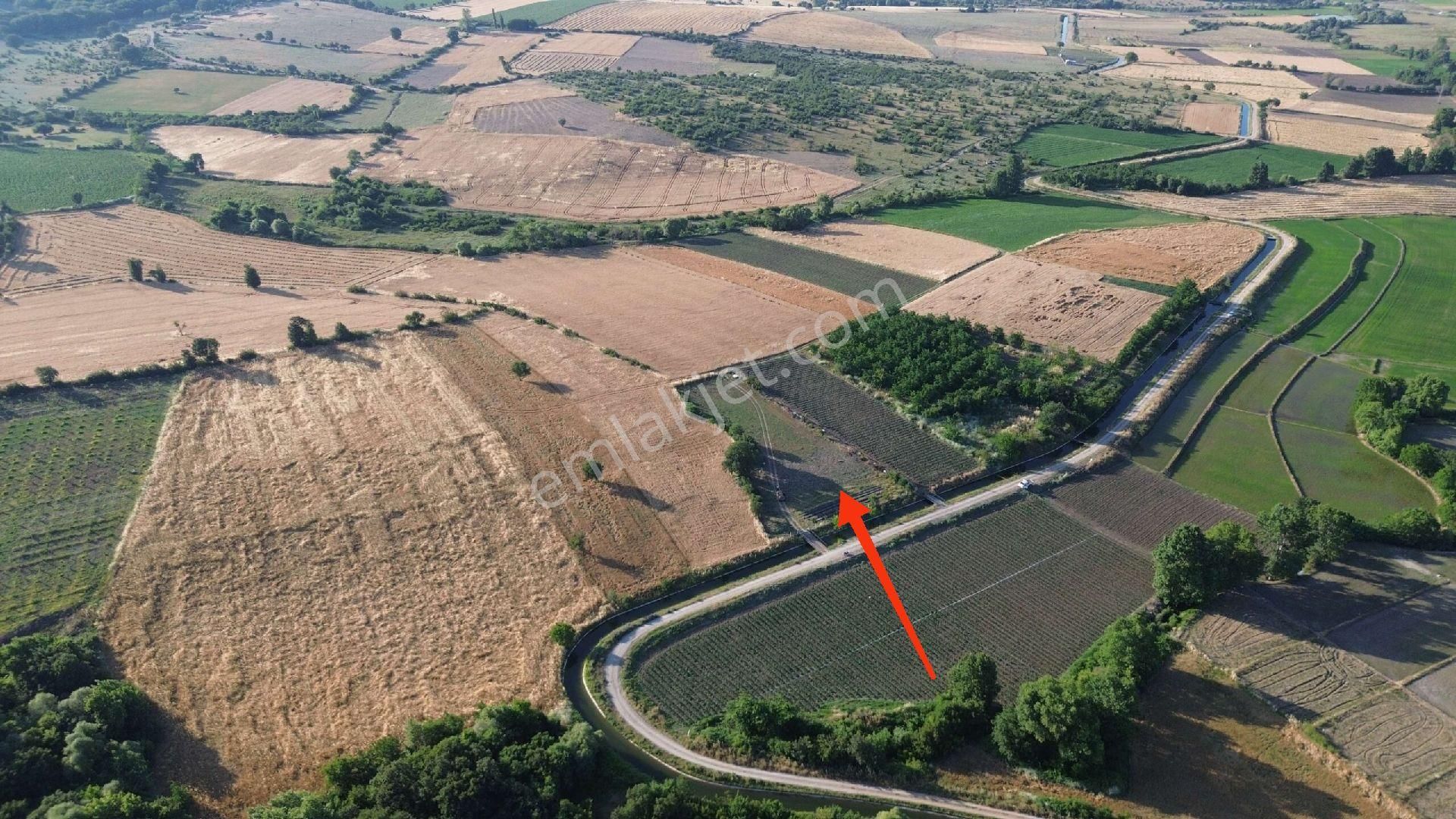 Sahibinden Hobi Bahçesi Kanal Dibi 3.015m2 Gönen'e 3 Km. - Görsel 7