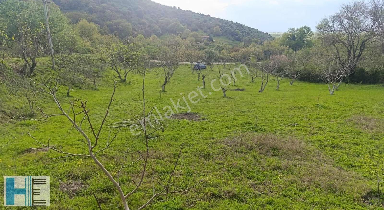 Kemalpaşa Da Kaçırılmayacak Fırsat 2904 M2 Bahçe - Görsel 8
