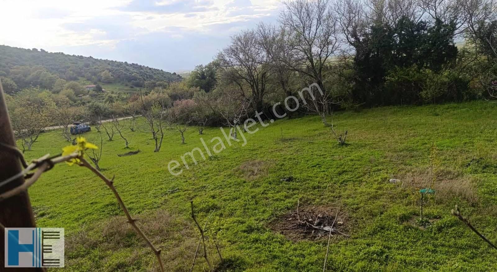 Kemalpaşa Da Kaçırılmayacak Fırsat 2904 M2 Bahçe - Görsel 2