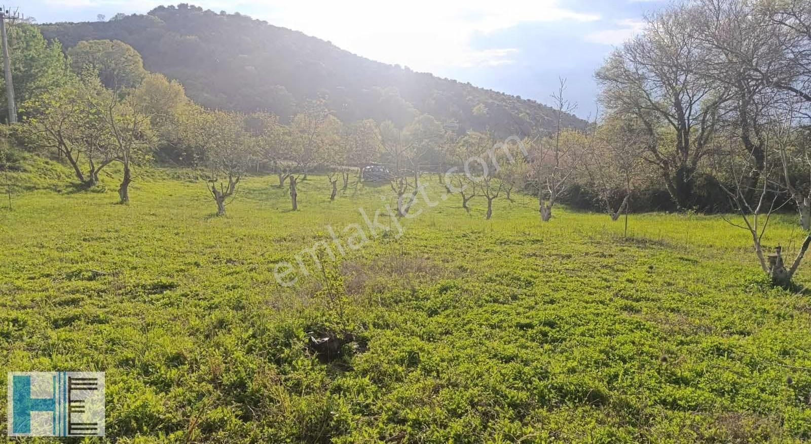 Kemalpaşa Da Kaçırılmayacak Fırsat 2904 M2 Bahçe - Görsel 12