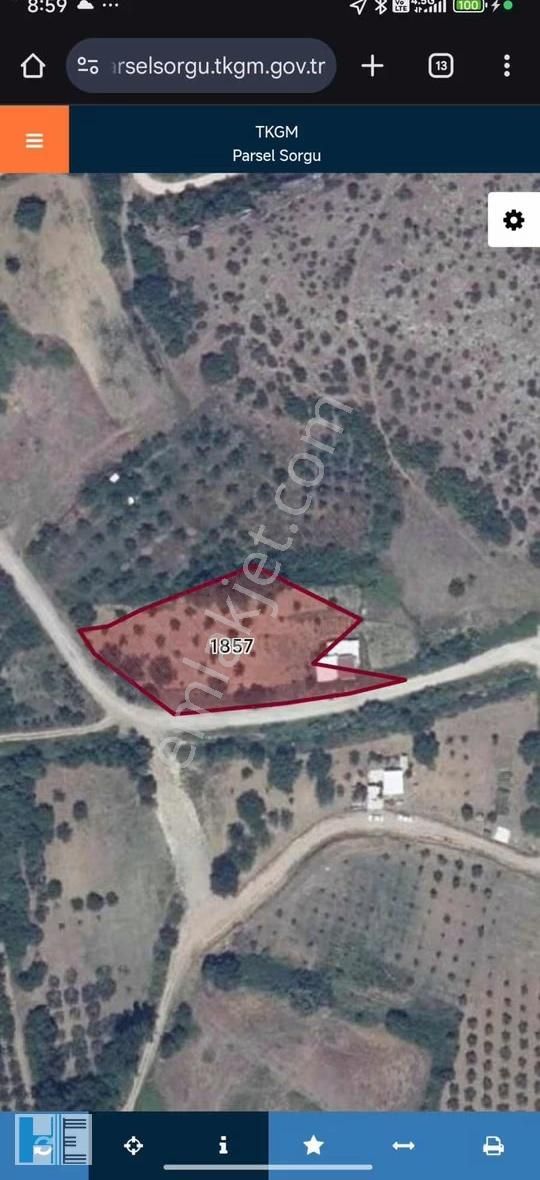 Kemalpaşa Da Kaçırılmayacak Fırsat 2904 M2 Bahçe - Görsel 6