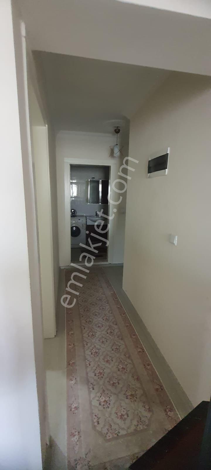 İskanlı (oturma Ruhsatlı)yeni Sanayi Mh. Kampüs Yakını 1+1 Eşyalı Yeni Bina - Görsel 5