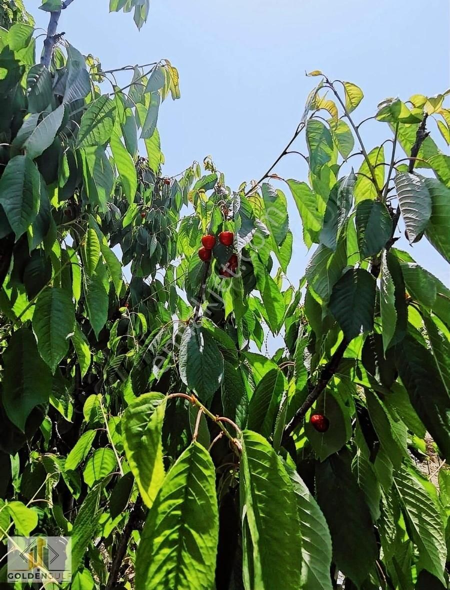 Goldengulf Emlak'tan Bursa Manzaralı Güzel Arsa - Görsel 2