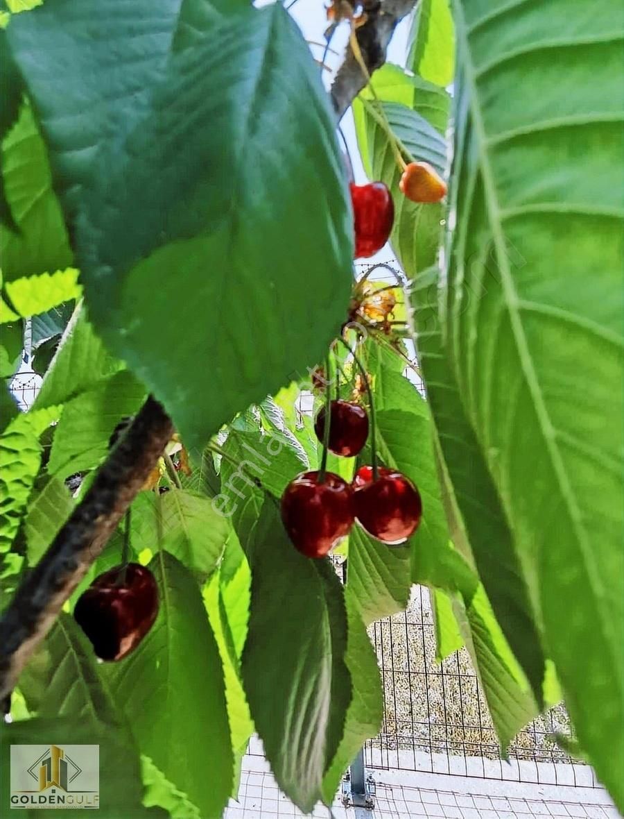 Goldengulf Emlak'tan Bursa Manzaralı Güzel Arsa - Görsel 4