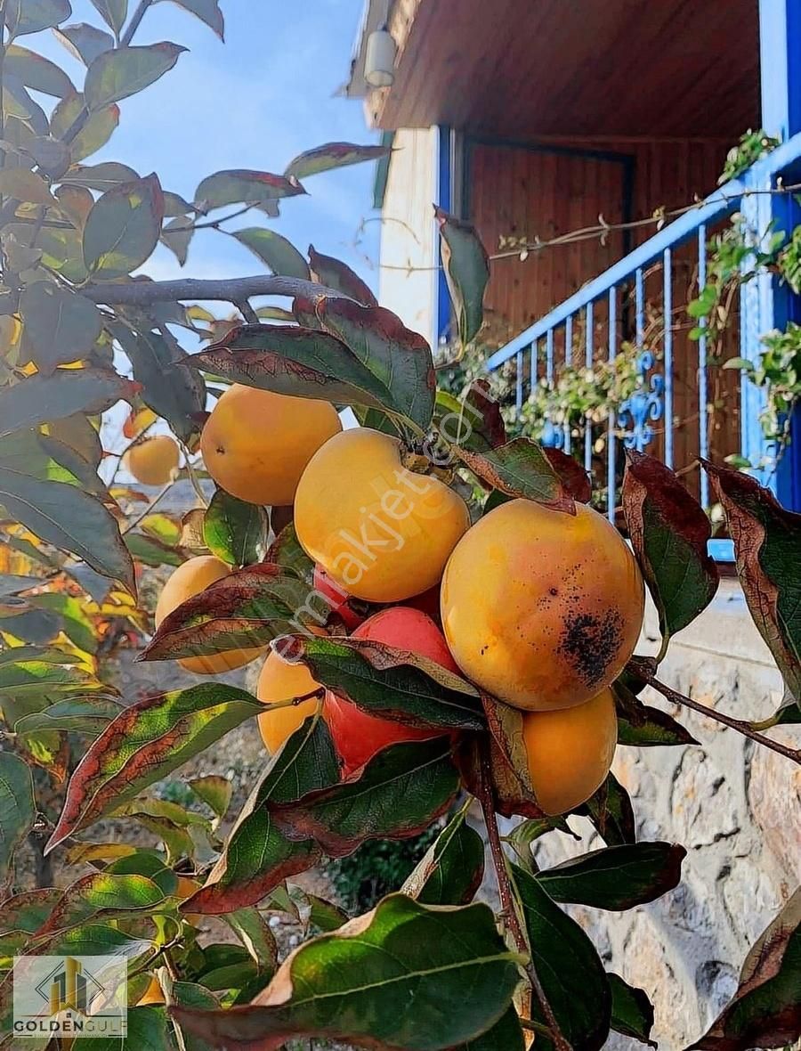 Goldengulf Emlak'tan Bursa Manzaralı Güzel Arsa - Görsel 18