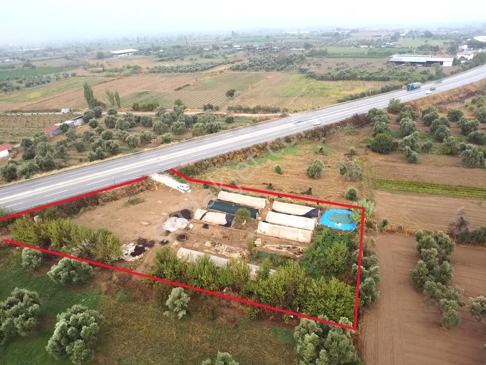 Tire Pınar Emlak Tan Satılık Süper Bir Yer