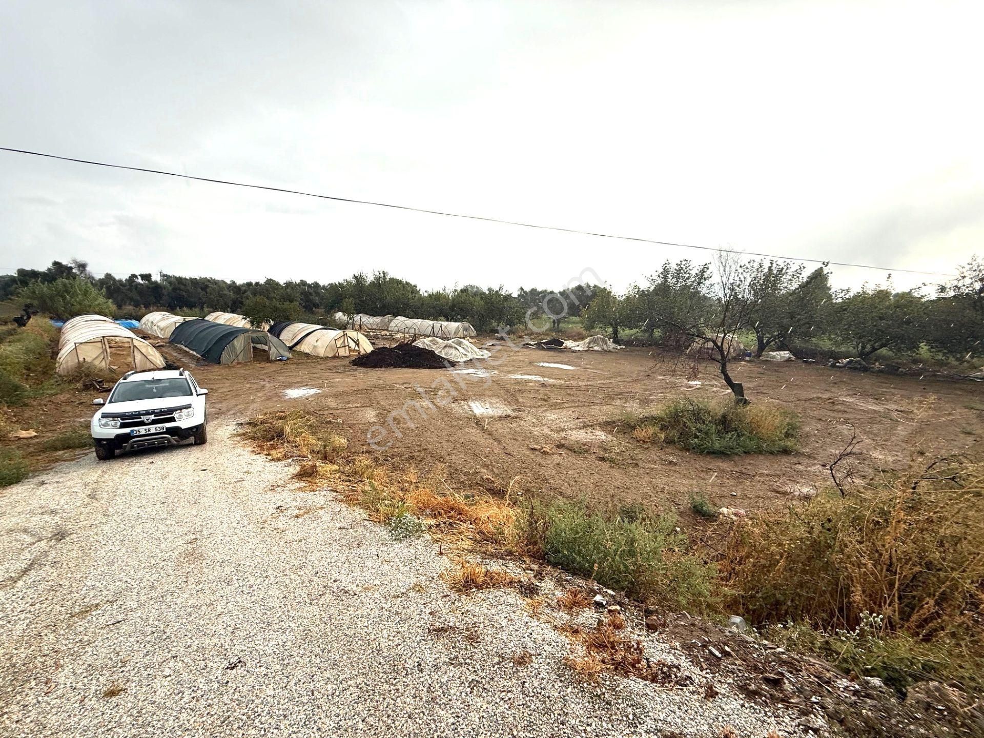 Tire Pınar Emlak Tan Satılık Süper Bir Yer - Görsel 4
