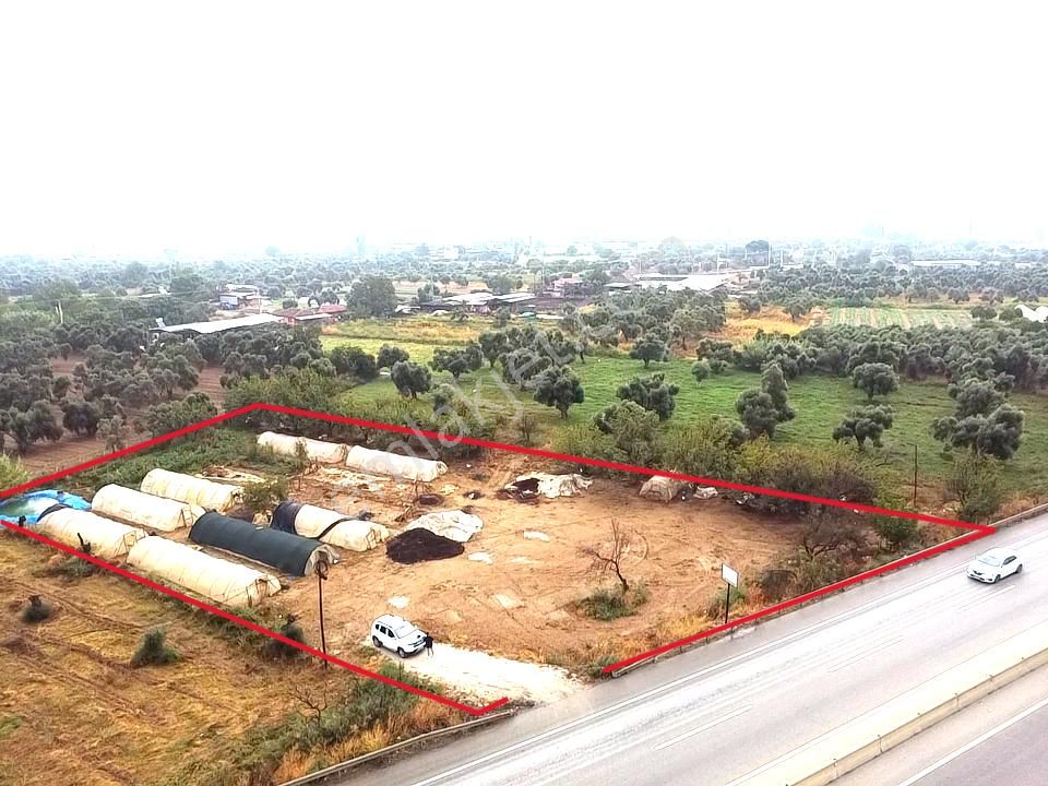 Tire Pınar Emlak Tan Satılık Süper Bir Yer - Görsel 9