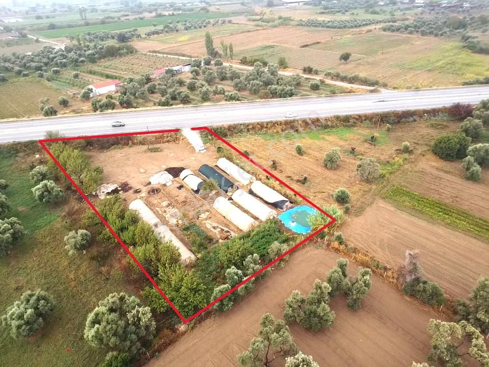 Tire Pınar Emlak Tan Satılık Süper Bir Yer - Görsel 14