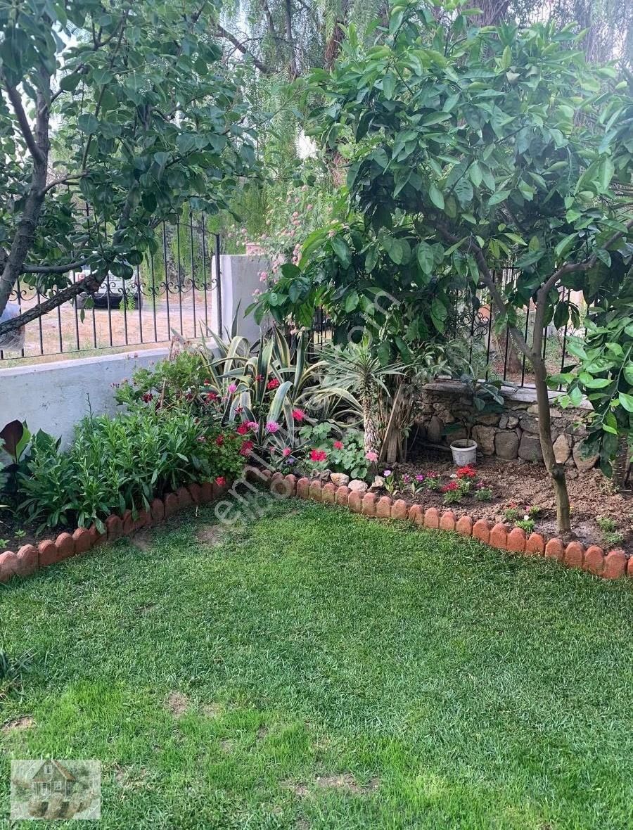 Özbek Eğrilimanda Denıze Yürüme Mesafesınde - Görsel 6