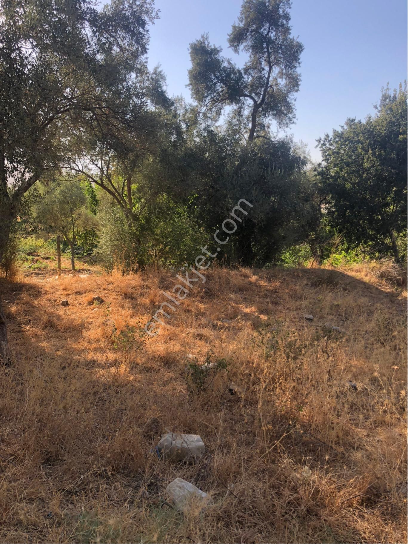 Tuzabat Mahallesinde Satılık Tarla Hissesi - Görsel 2