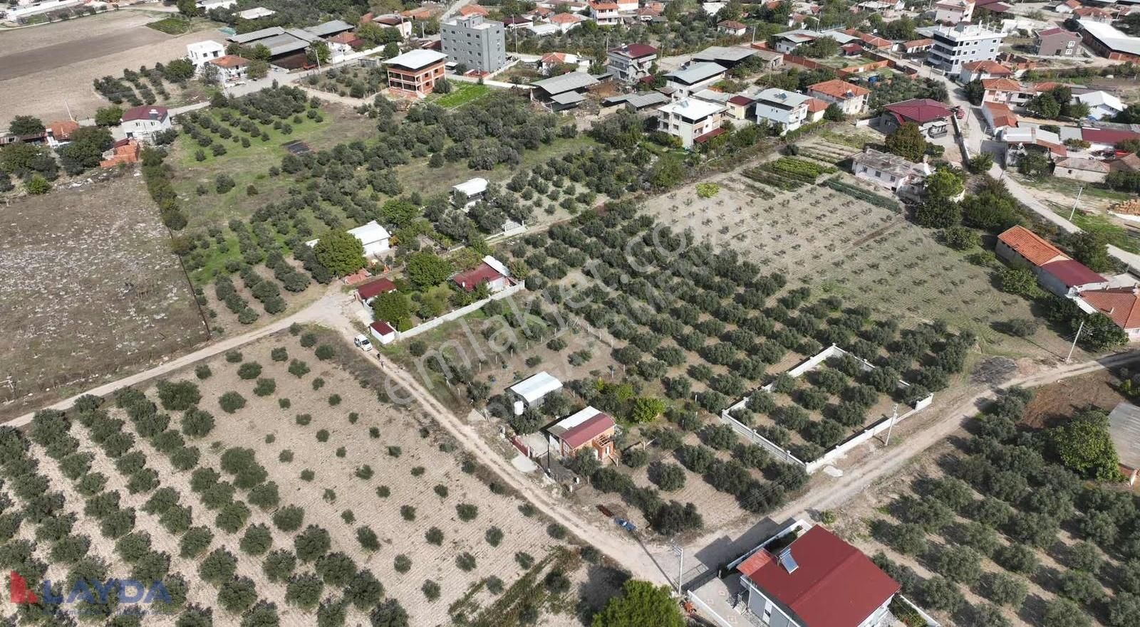 Layda'dan Oğlanaanasında Köy Merkezinde 500m2 Satılık Arsa - Görsel 24