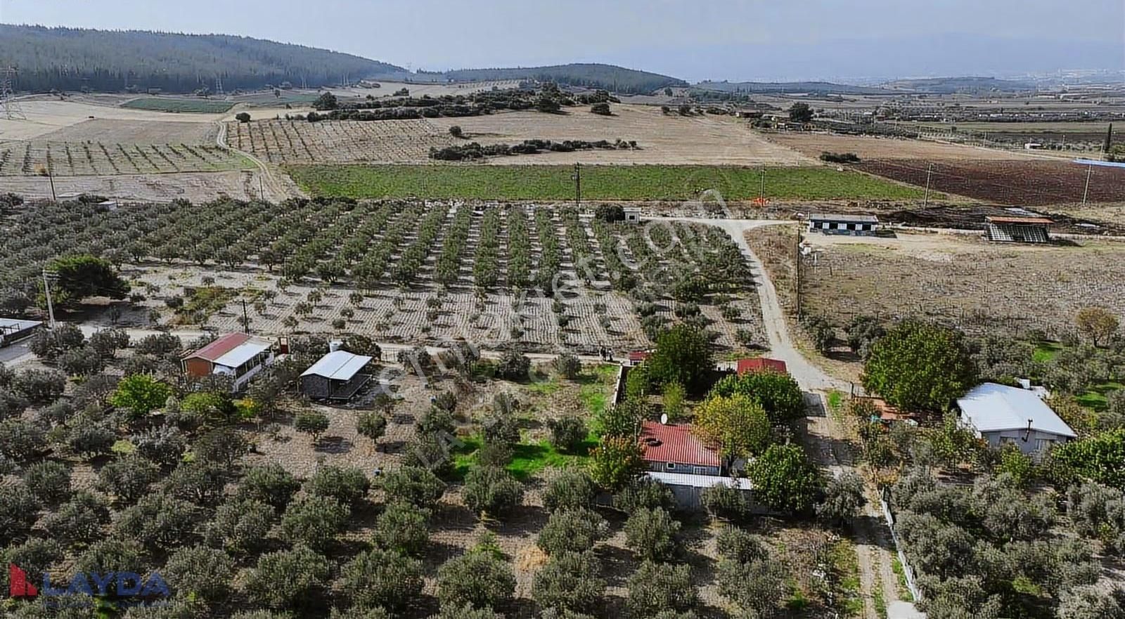 Layda'dan Oğlanaanasında Köy Merkezinde 500m2 Satılık Arsa - Görsel 16