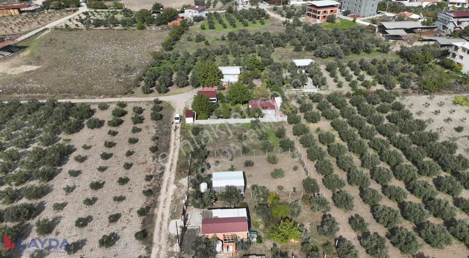 Layda'dan Oğlanaanasında Köy Merkezinde 500m2 Satılık Arsa - Görsel 25