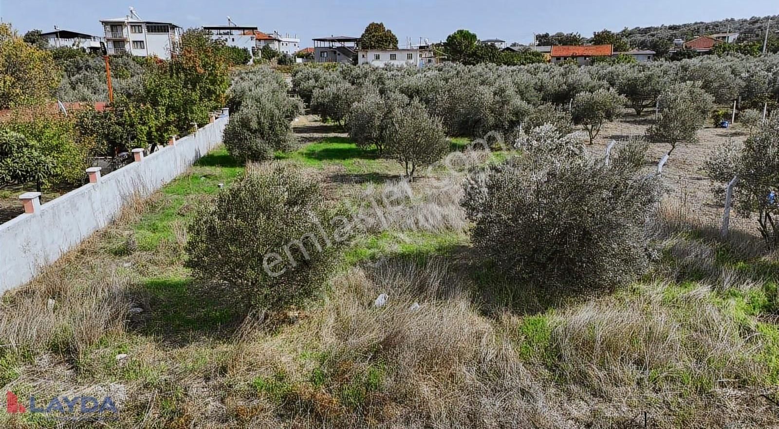 Layda'dan Oğlanaanasında Köy Merkezinde 500m2 Satılık Arsa - Görsel 17