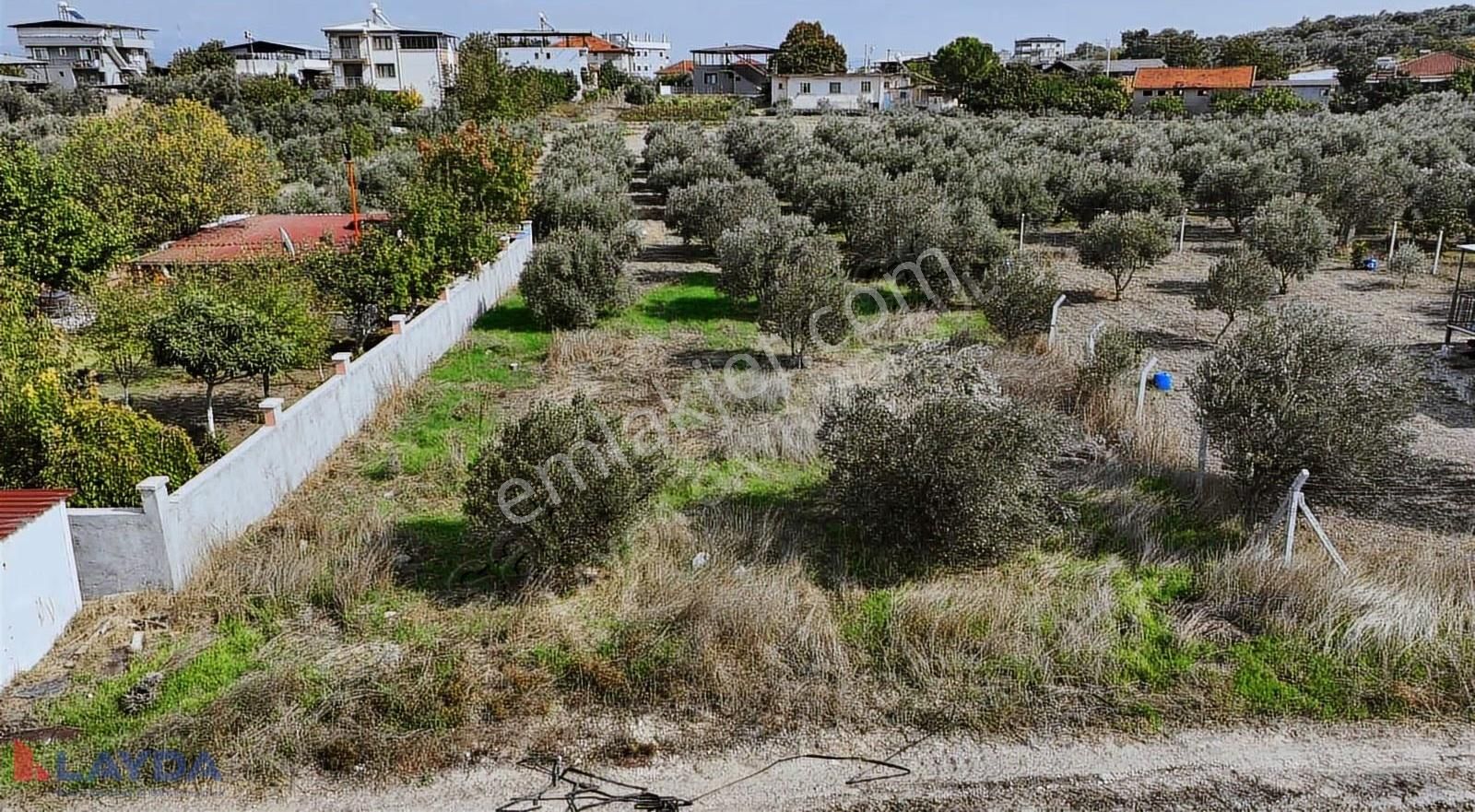 Layda'dan Oğlanaanasında Köy Merkezinde 500m2 Satılık Arsa - Görsel 27