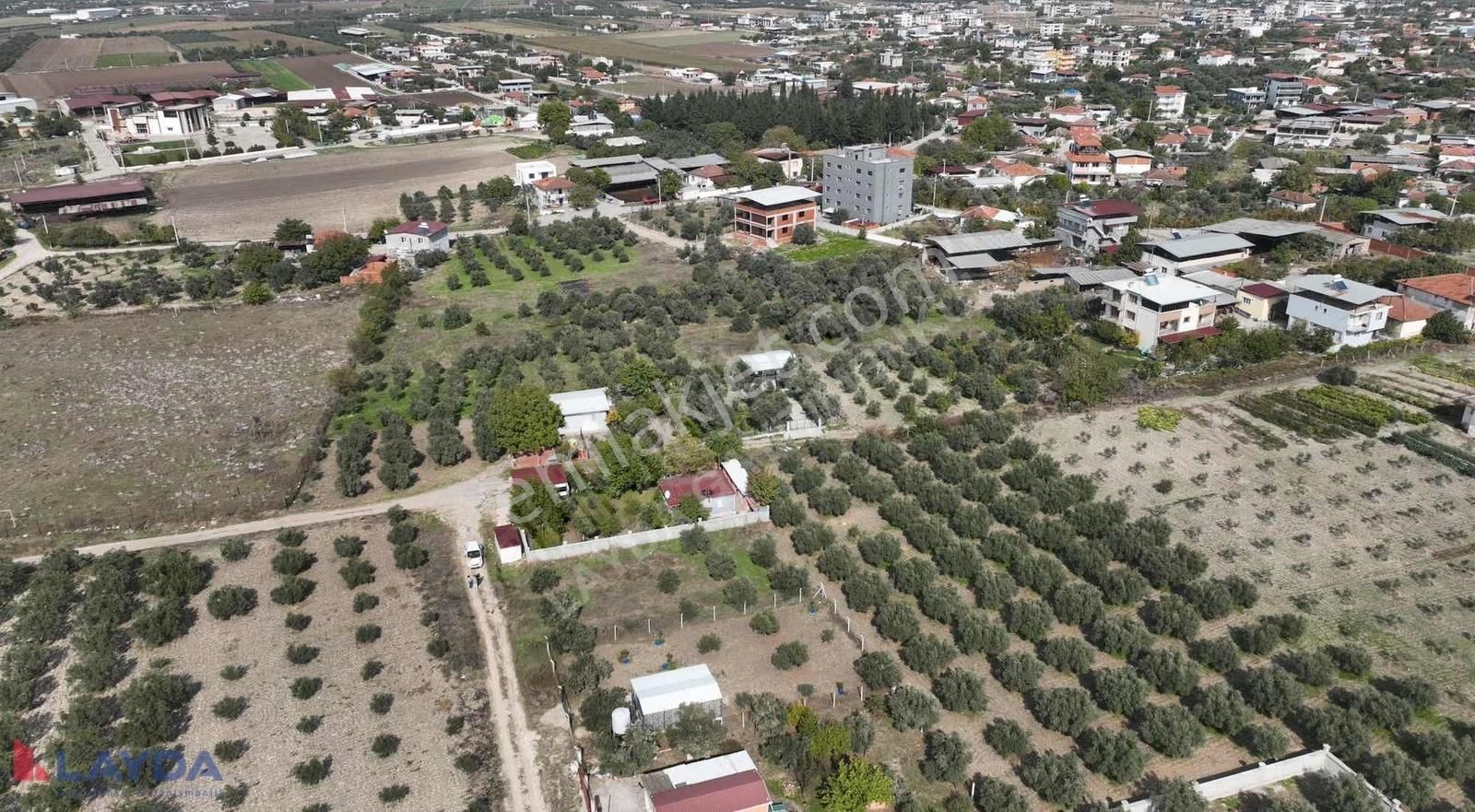 Layda'dan Oğlanaanasında Köy Merkezinde 500m2 Satılık Arsa - Görsel 15