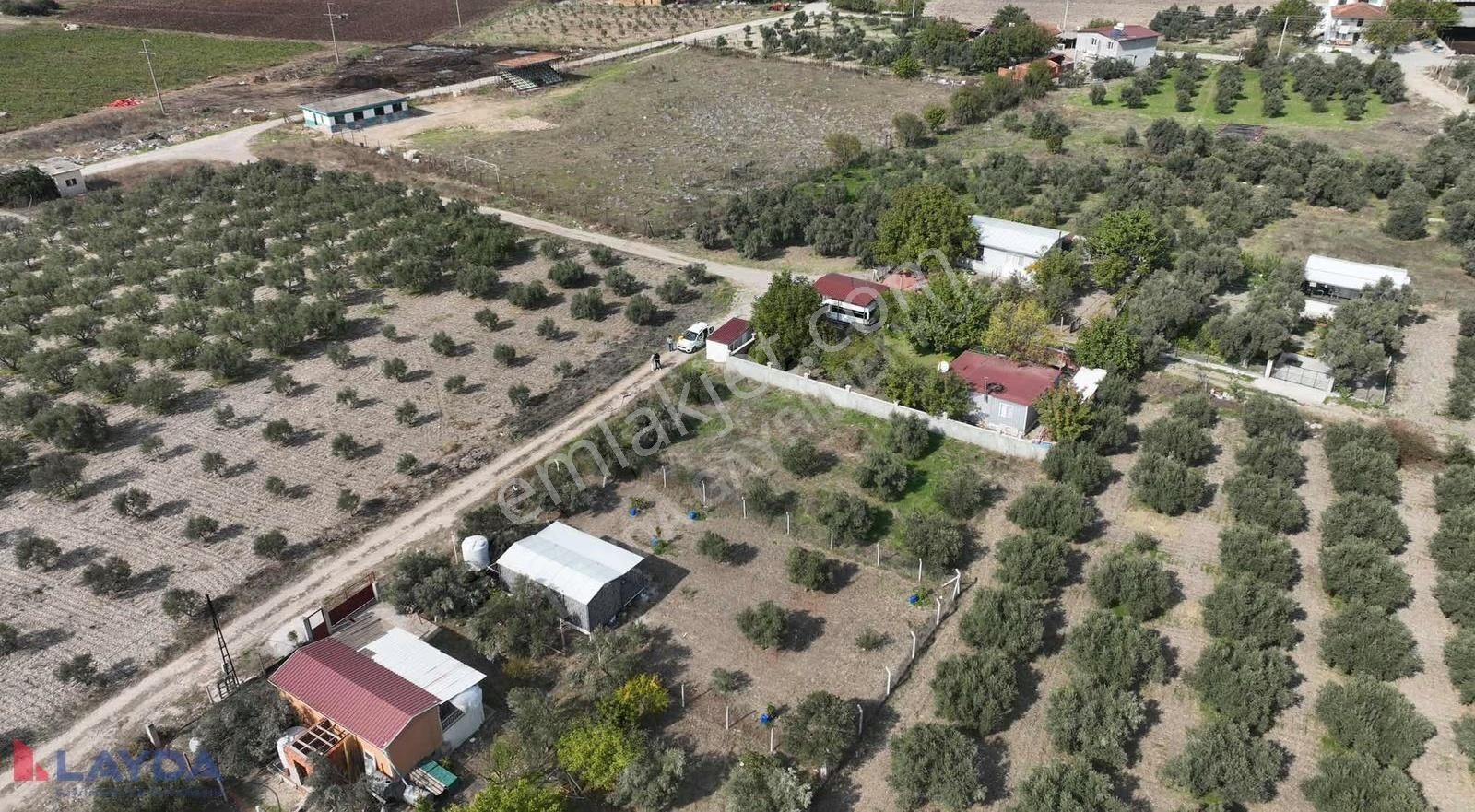 Layda'dan Oğlanaanasında Köy Merkezinde 500m2 Satılık Arsa - Görsel 2