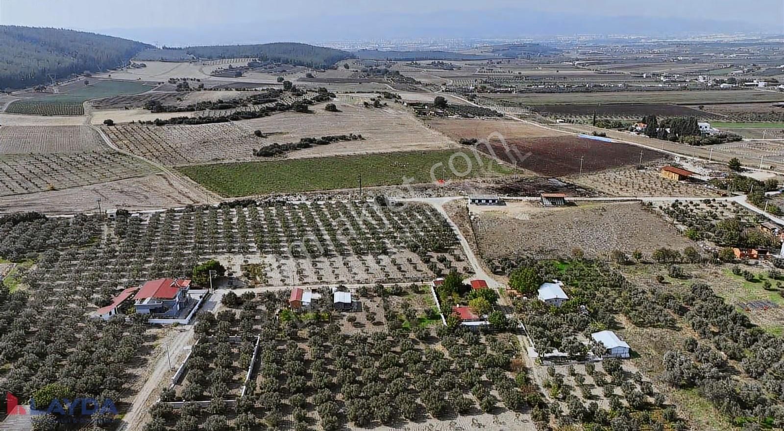 Layda'dan Oğlanaanasında Köy Merkezinde 500m2 Satılık Arsa - Görsel 20