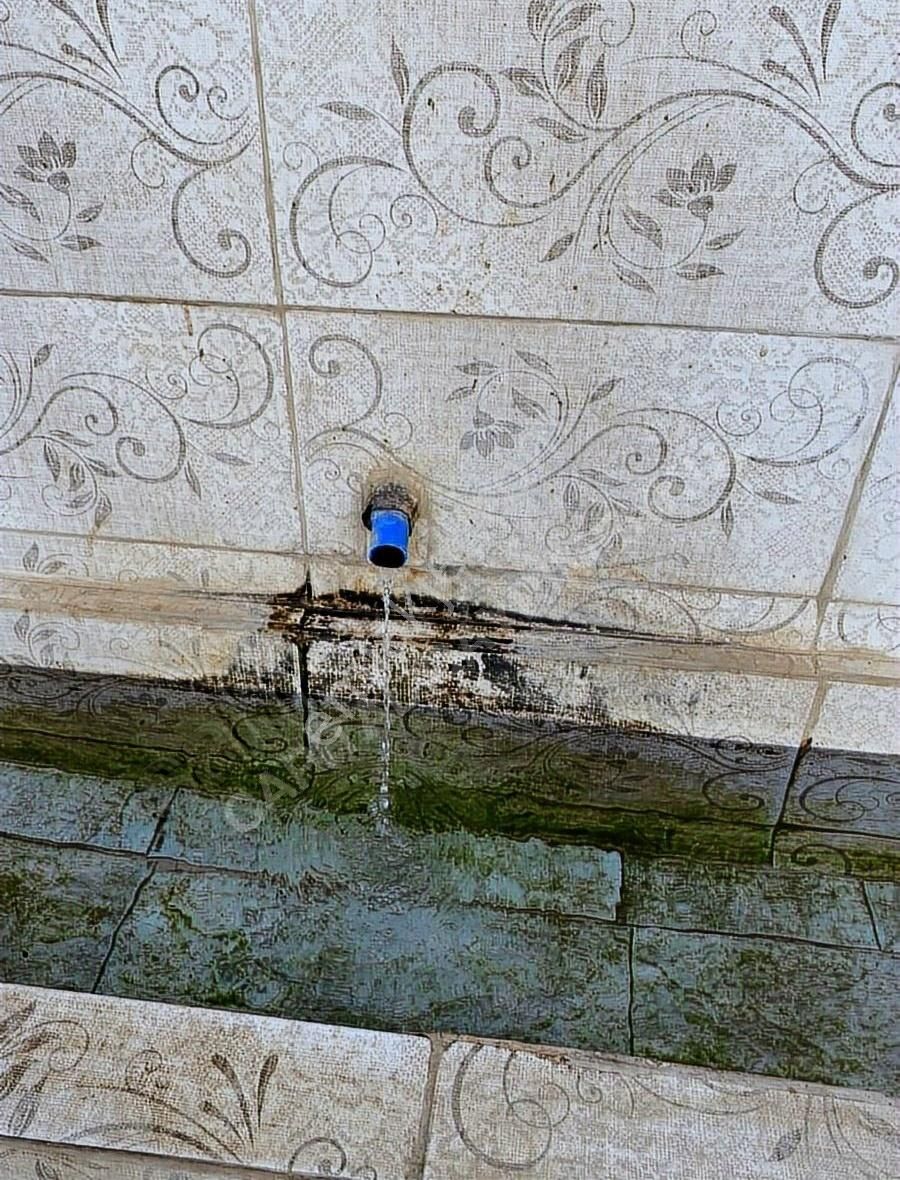 Bayındır Alanköy Yaylasında Satılık Tarla - Görsel 7