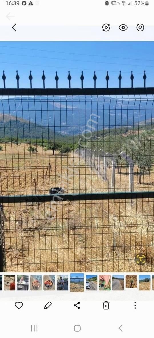 Bayındır Alanköy Yaylasında Satılık Tarla - Görsel 8