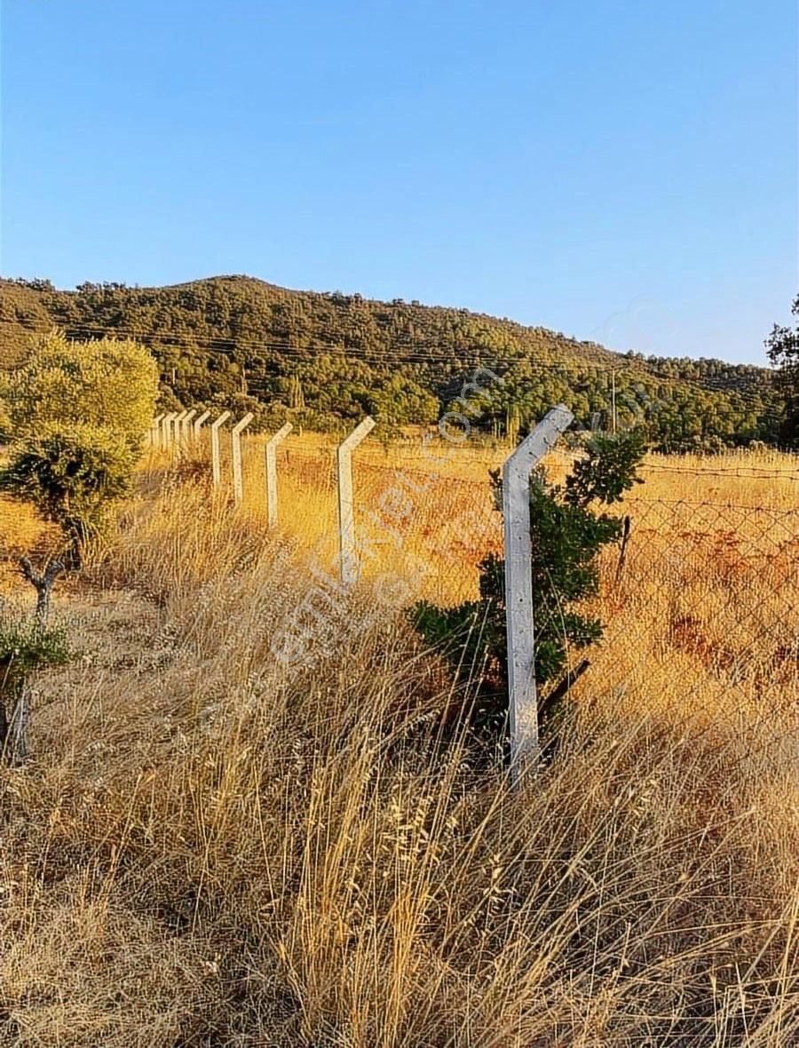 Bayındır Alanköy Yaylasında Satılık Tarla - Görsel 2