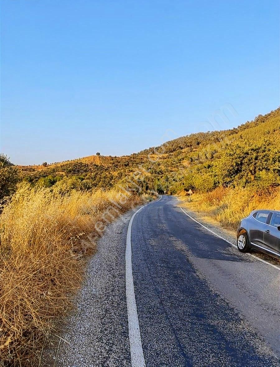 Bayındır Alanköy Yaylasında Satılık Tarla - Görsel 6