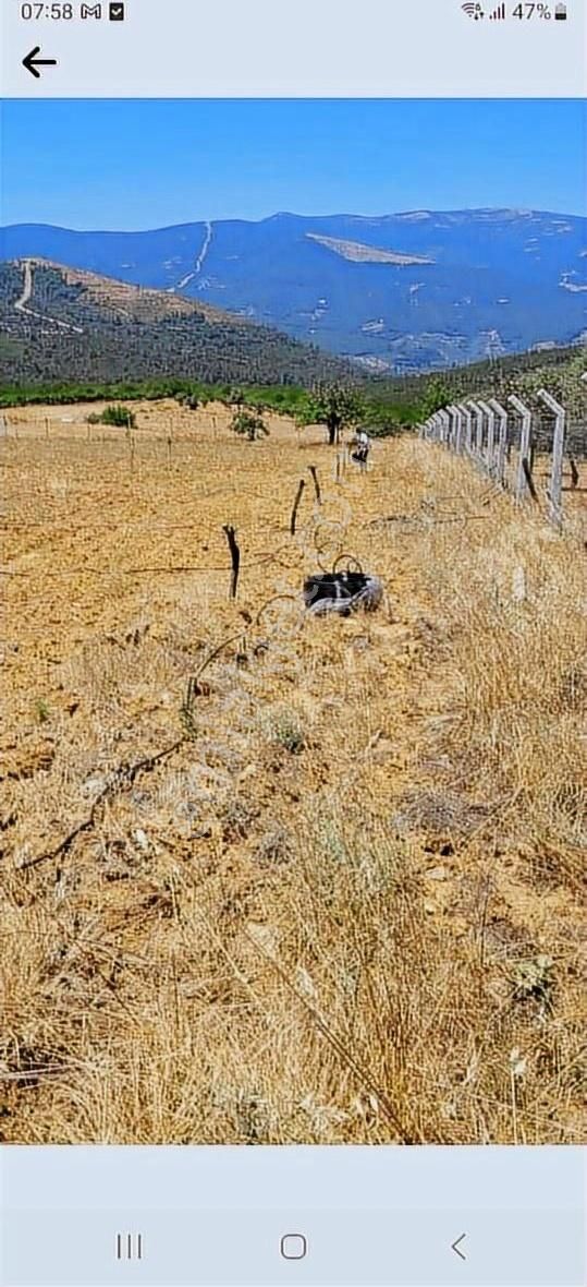 Bayındır Alanköy Yaylasında Satılık Tarla - Görsel 9