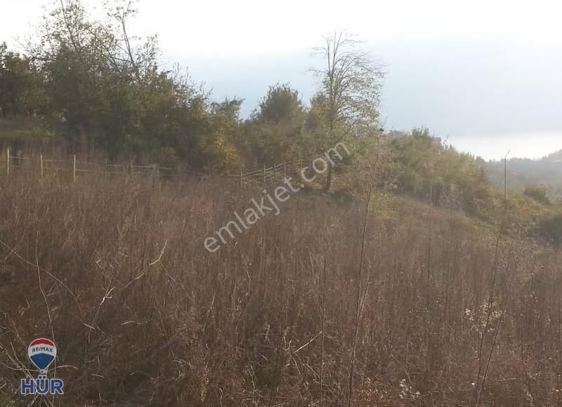 Serdivan Esentepe'de İmara Yakın Göl Manzaralı Fırsat Tarla - Görsel 11