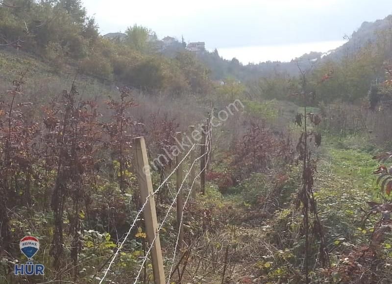 Serdivan Esentepe'de İmara Yakın Göl Manzaralı Fırsat Tarla - Görsel 3