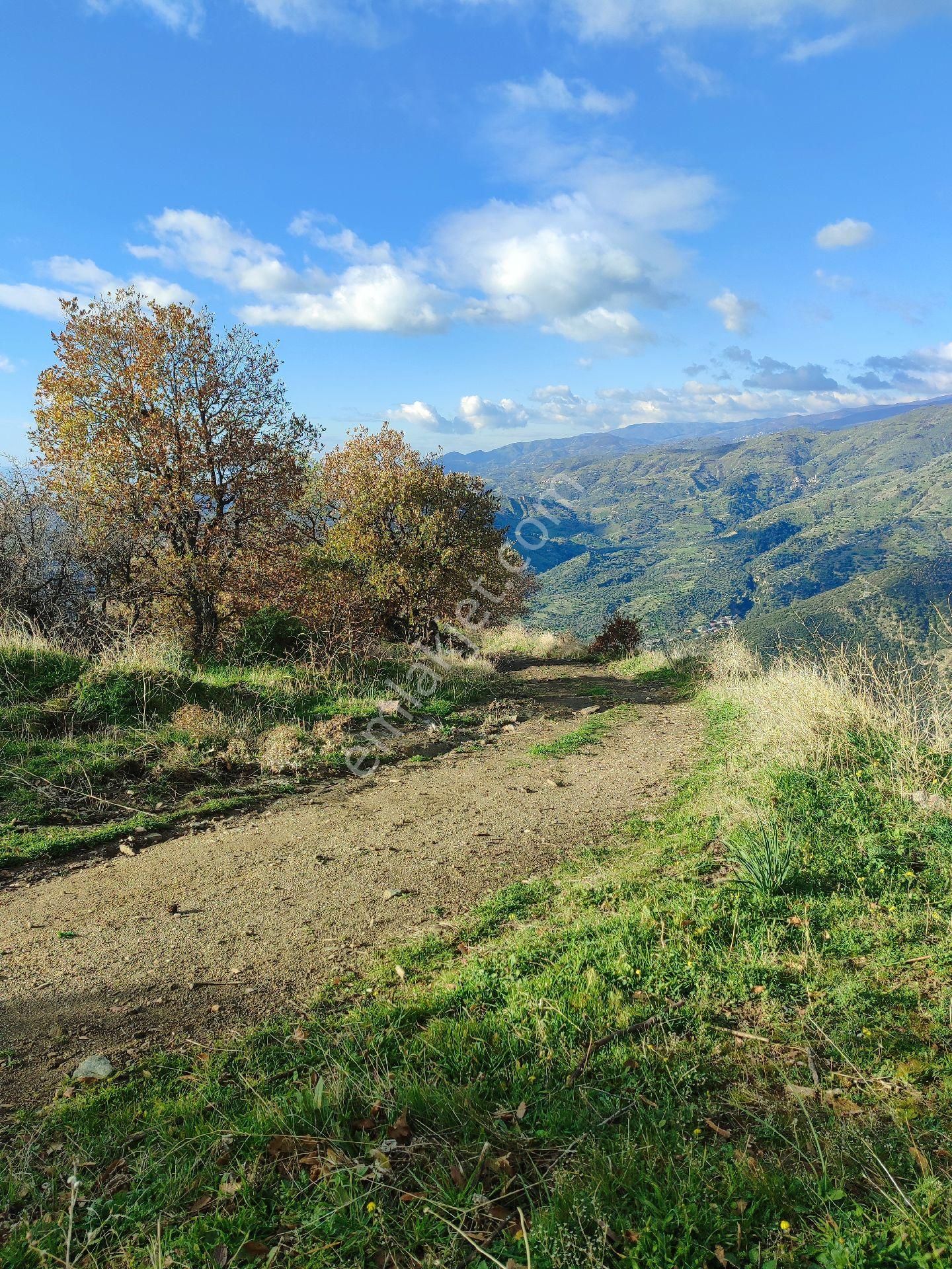 4.421 M2 Zirvede Satılık Bahçe - Görsel 16