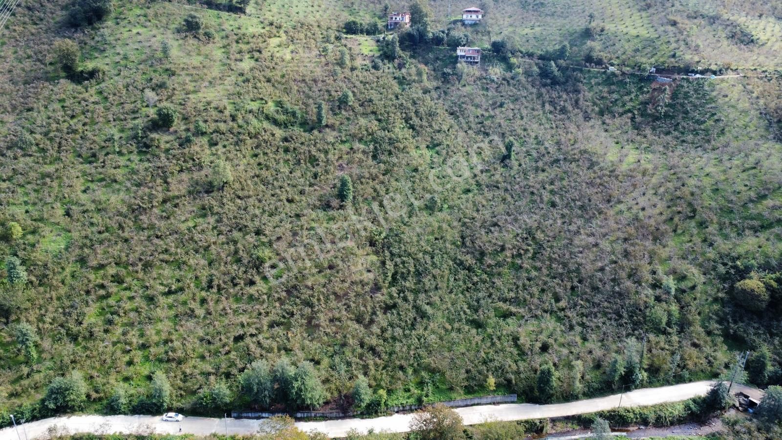 Trabzon Arsin'de Satılık Arazi - Görsel 26
