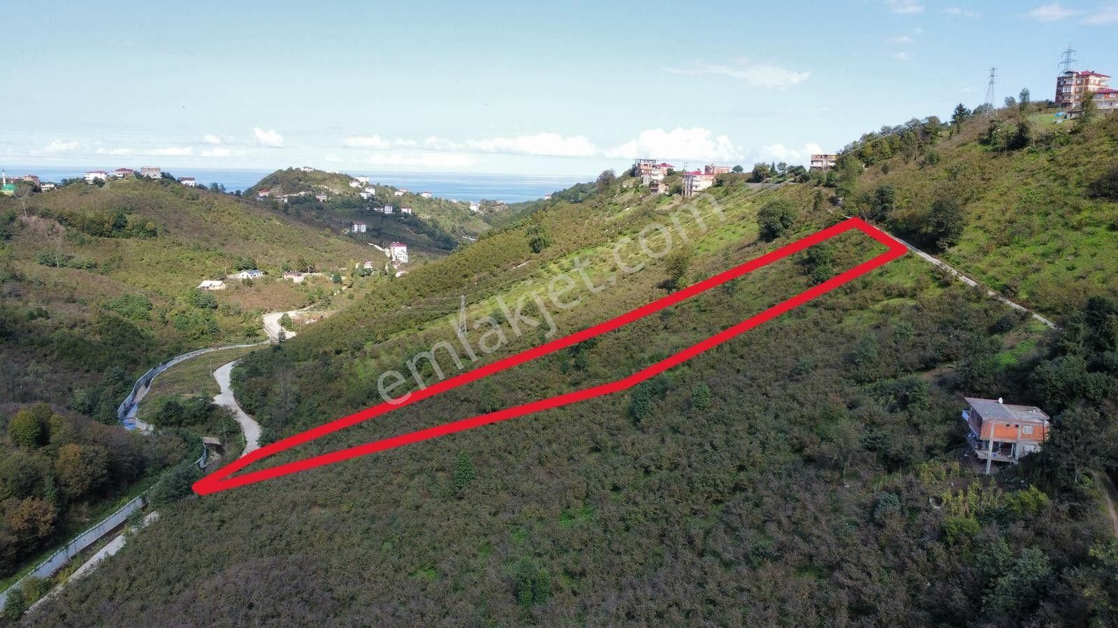Trabzon Arsin'de Satılık Arazi - Görsel 21