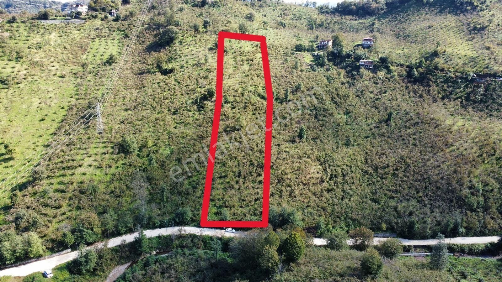 Trabzon Arsin'de Satılık Arazi - Görsel 2