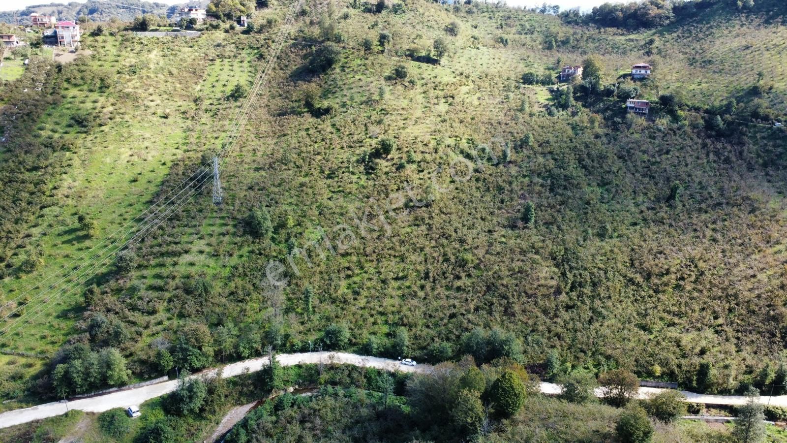Trabzon Arsin'de Satılık Arazi - Görsel 8