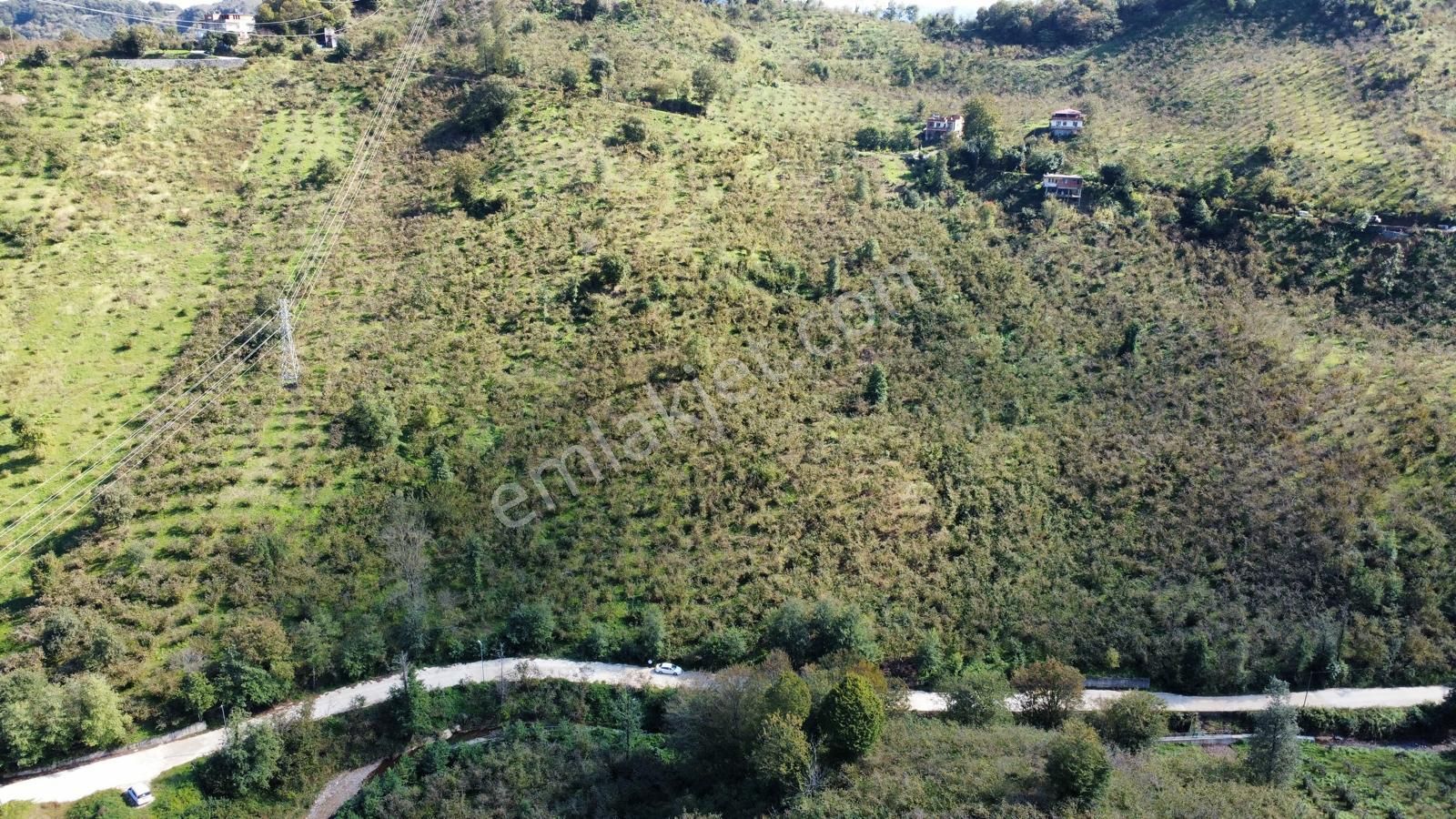 Trabzon Arsin'de Satılık Arazi - Görsel 12