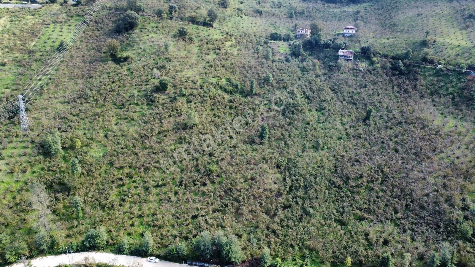 Trabzon Arsin'de Satılık Arazi - Görsel 9