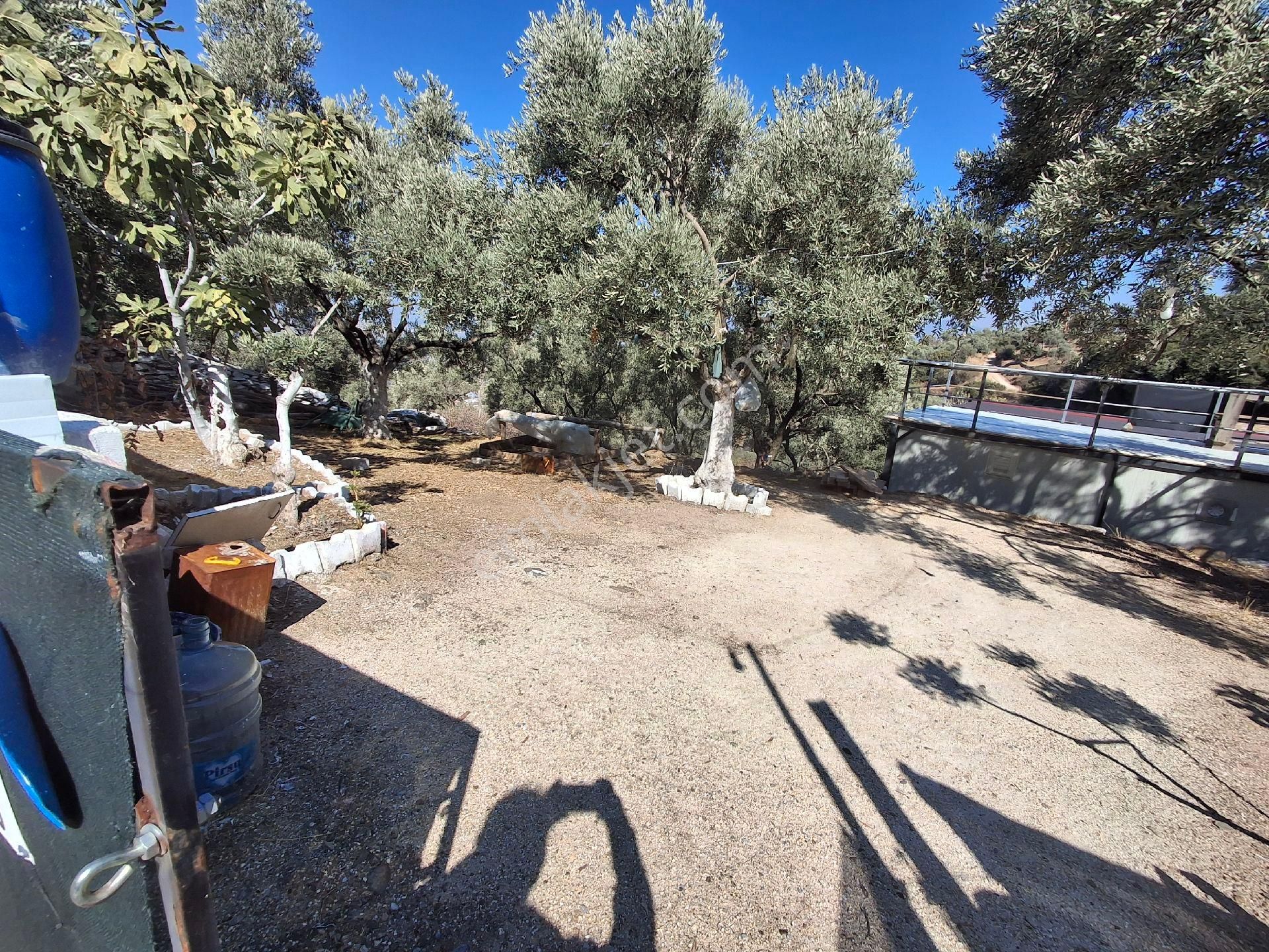 Akar Emlak Ofisinden Tire Manzaralı, Ho - Görsel 19