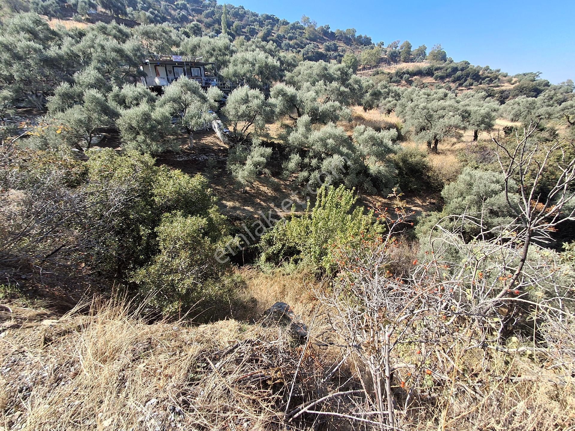 Akar Emlak Ofisinden Tire Manzaralı, Ho - Görsel 4