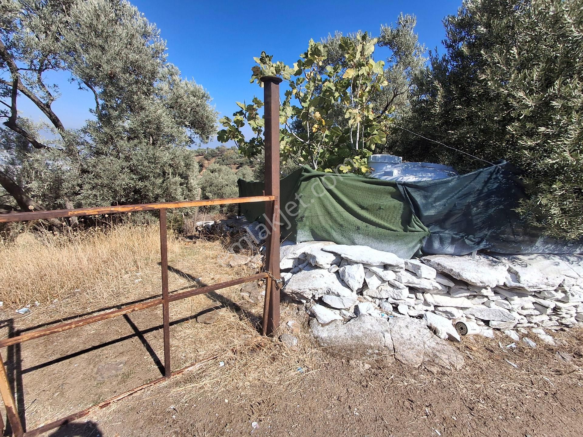 Akar Emlak Ofisinden Tire Manzaralı, Ho - Görsel 18