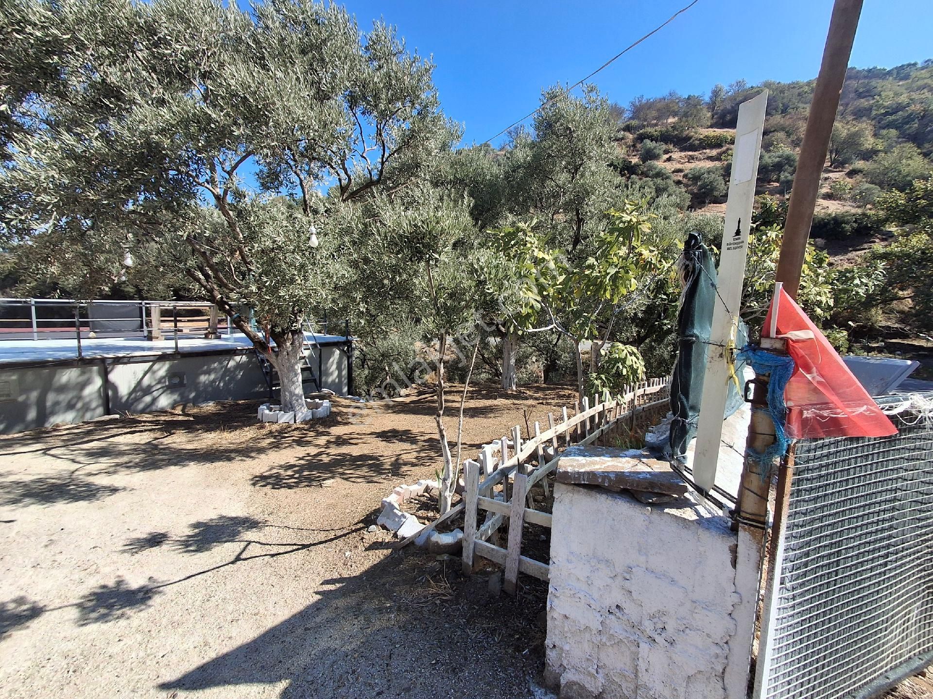 Akar Emlak Ofisinden Tire Manzaralı, Ho - Görsel 20