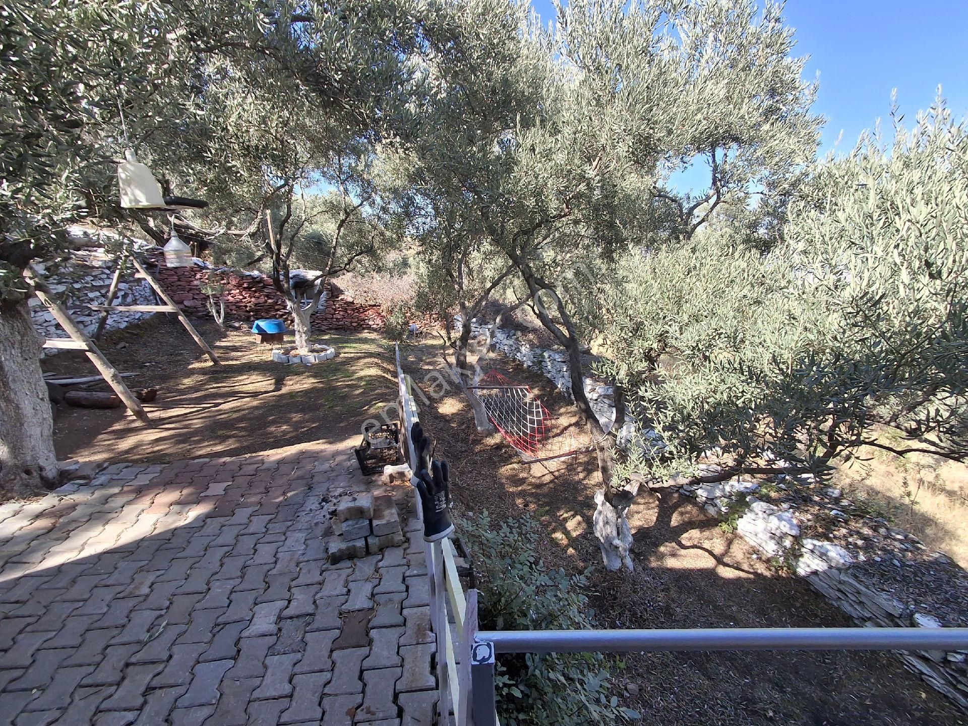 Akar Emlak Ofisinden Tire Manzaralı, Ho - Görsel 8