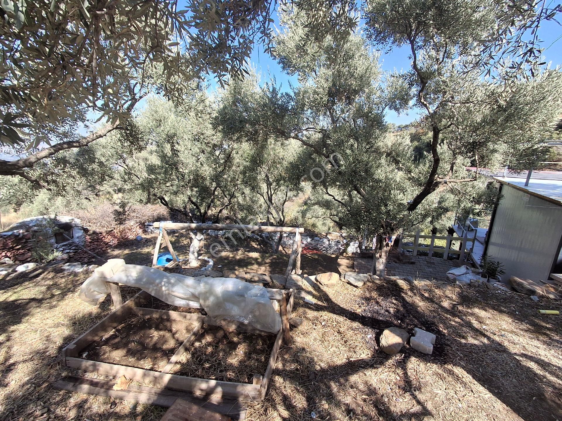 Akar Emlak Ofisinden Tire Manzaralı, Ho - Görsel 16